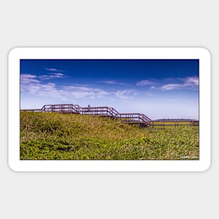 Lawrencetown Beach Boardwalk Sticker